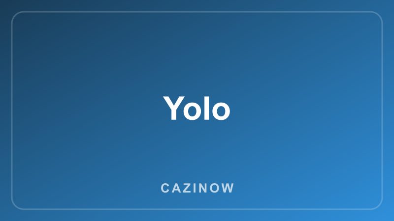 Yolo game artwork